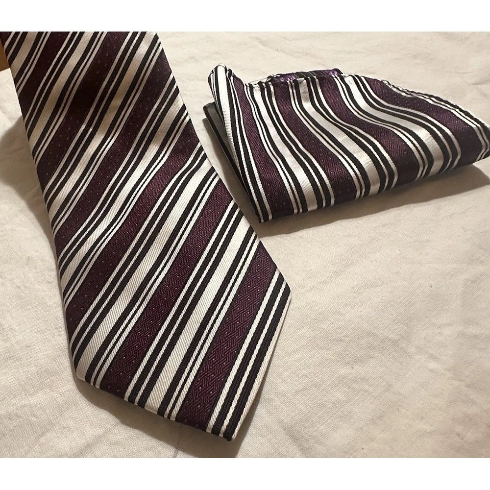 Ferrecci Plum Necktie And Hankie
